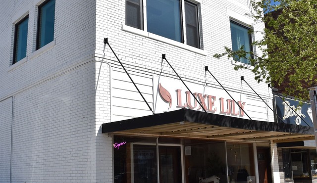 Newly Renovated family-sized apartment downtown, lots of light!