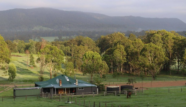 Newly Renovated! Family, Horse and Dog Friendly Getaway close to Pokolbin