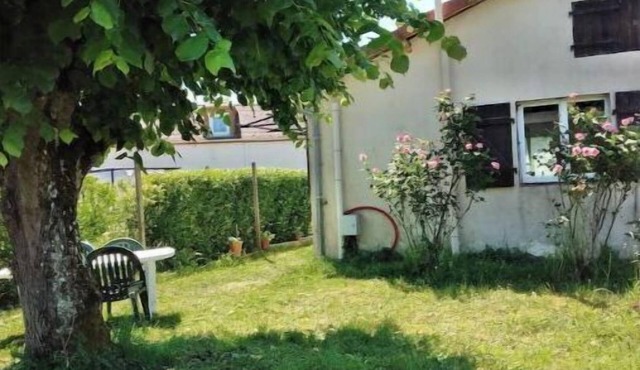 Newly renovated detached house