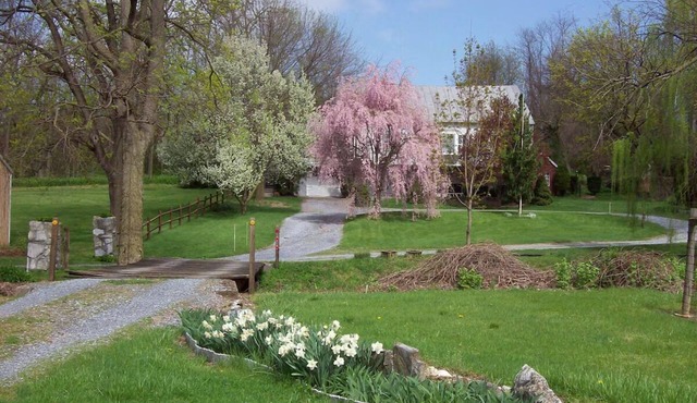 Newly renovated historic farmhouse with all modern amenities, meals available.