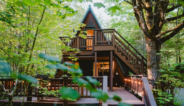 Newly Renovated/Hot Tub/Fire Pit/A Frame/BBQ/King