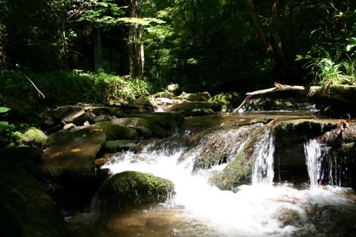 Newly Renovated Log Cabin, Hot Tub, Roaring Creek