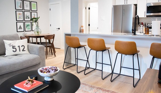 Newly Renovated Modern Condo- Walk to Zilker & Barton Springs! Private backyard!