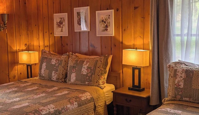 Newly renovated Nested in Pine Trees Cabin 18