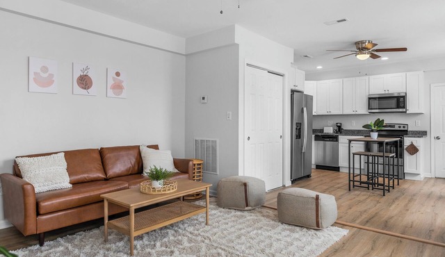 Newly Renovated Oasis is Federal Hill 2br