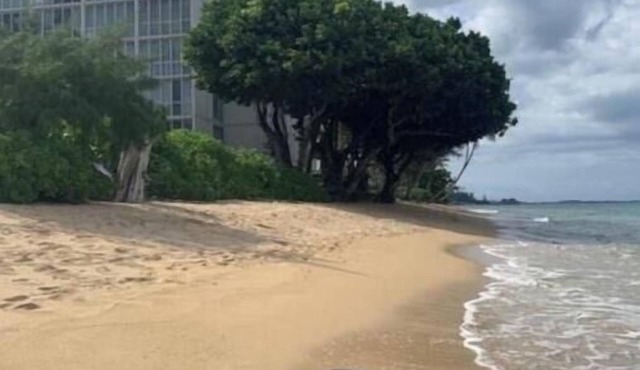 Newly renovated, oceanfront, AC, beautiful views, steps to secluded beach