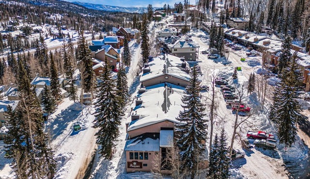 Newly Renovated, One Bedroom Condominium at Purgatory Steps From Slopes