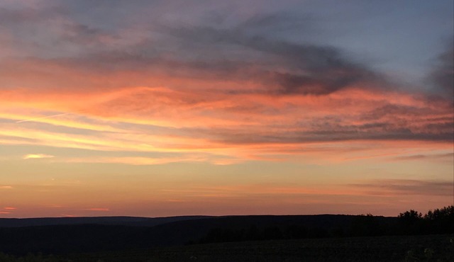 Newly Renovated Rustic Cabin w/WiFi in the Heart of the Finger Lakes