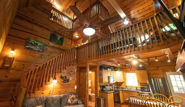 Newly renovated, Scenic Hilltop Cabin near Natural Bridge State Park