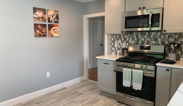 Newly Renovated Spacious 4BR peaceful downtown Apt