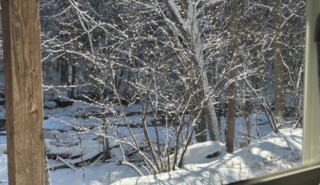 Newly Renovated Sprawling 3 BR farmhouse in Jamaica on the river with 30 acres