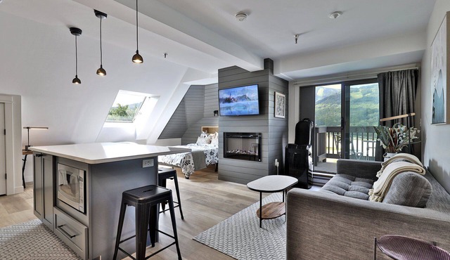 Newly Renovated Studio! Amazing Views/Location 3F9. Pool. Hot Tub, Shuttle.