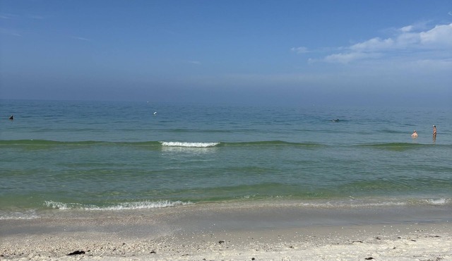 Newly updated and professionally managed Condo in N Naples, near the beach