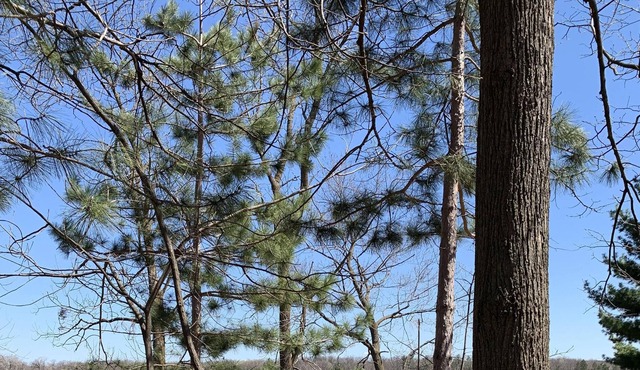 Newly Updated Cabin On Cross Lake