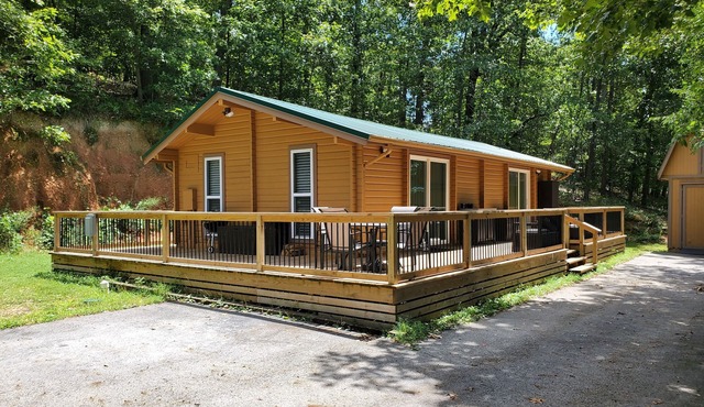Newly Updated Luxury Cabin on Beaver Lake