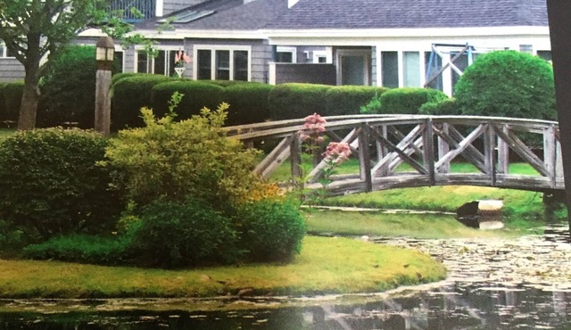 Newly updated modern Ocean Park townhouse less than 5 minutes walk to beach!