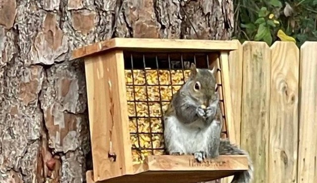 Newnan, Sauber, Ruhiges, Frisch Renoviertes Komplettes Haus