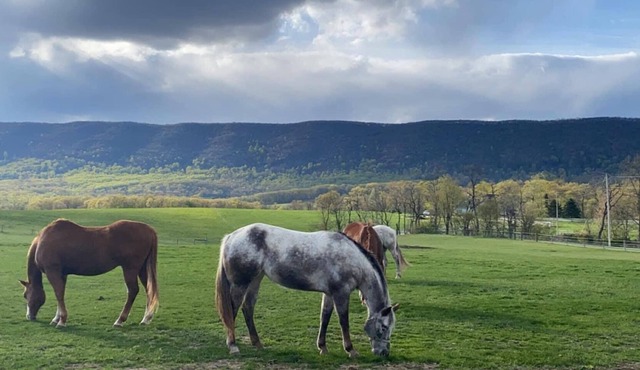 Newville, Pennsylvania - Horse Farm Campsite