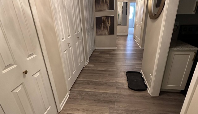 NFL Draft Detroit 2024 weekend hot spot - 20 minutes away from Downtown Detroit