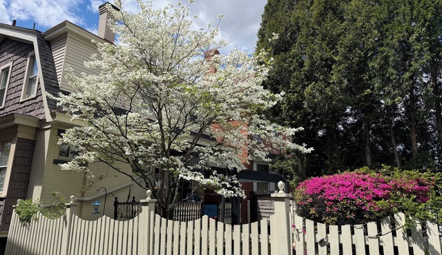 NFL DRAFT PITTSBURGH - stay in Mr. Rogers Neighborhood!