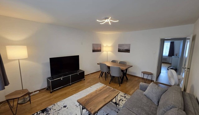 Nice 2BD flat city center/near FIFA - Wille 3