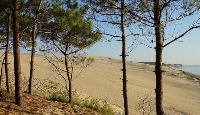 NICE ACCOMMODATION INDEPENDENT ENTRANCE NEAR BORDEAUX