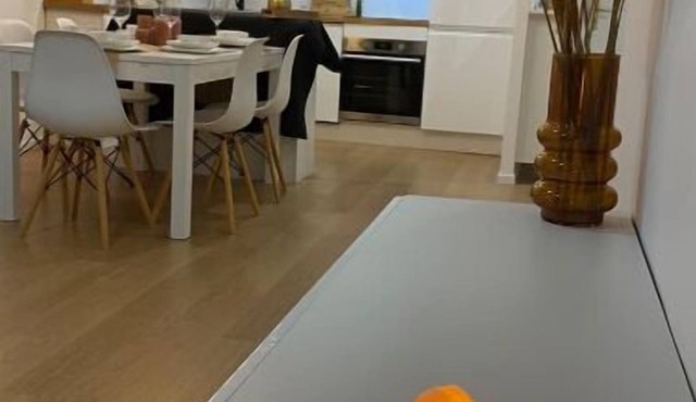 Nice and cosy flat near Geneva or Annecy