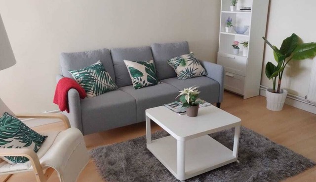 Nice and cozy apartment 7 km. from La Concha beach with independent entrance