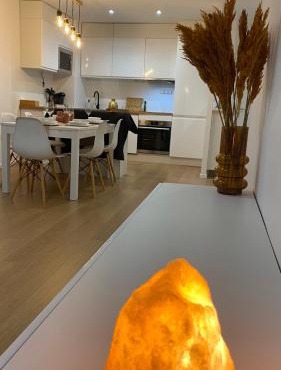 Nice and cosy flat near Geneva or Annecy