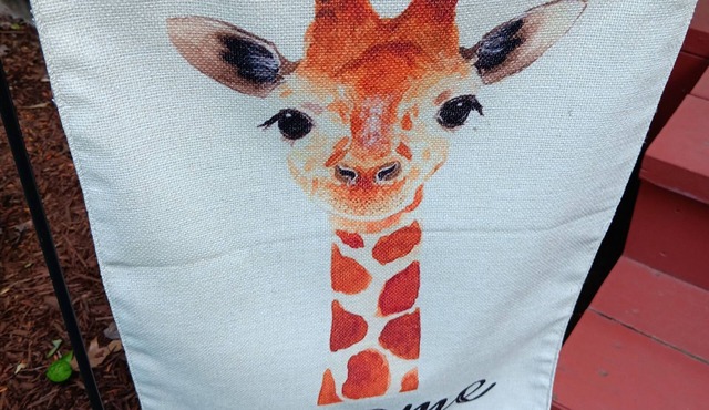 Nice and Quiet Safari suite