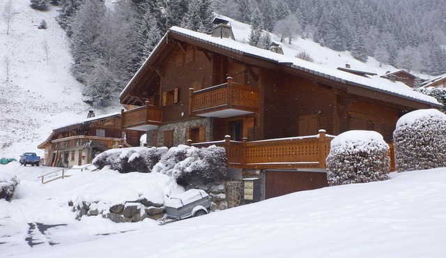 Nice apartment of 35 m2 in a beautiful sunny Savoyard chalet