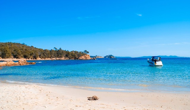 Nice apartment 6 pers. 250 m from BEACH with HEATED SWIMMING POOL and TENNIS (5)