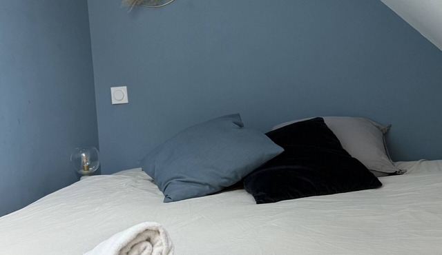 Nice apartment downtown