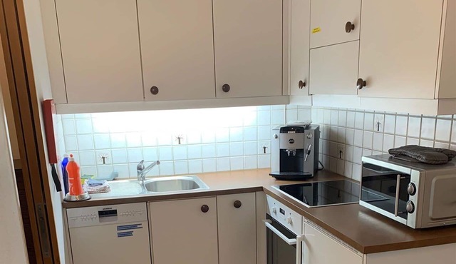 Nice apartment for 3 people with WIFI, TV, balcony, pets allowed and parking