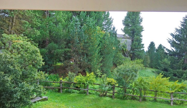 Nice apartment for 4 guests with WIFI, TV, balcony, pets allowed, panoramic view and parking