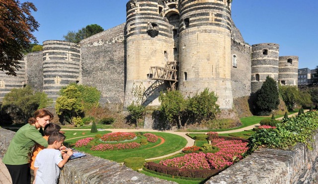 Nice apartment for 6 people with pool, WIFI, TV, terrace, pets allowed and parking