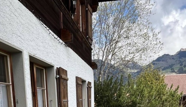 Nice apartment for 4 people with WIFI, TV, balcony, pets allowed and parking