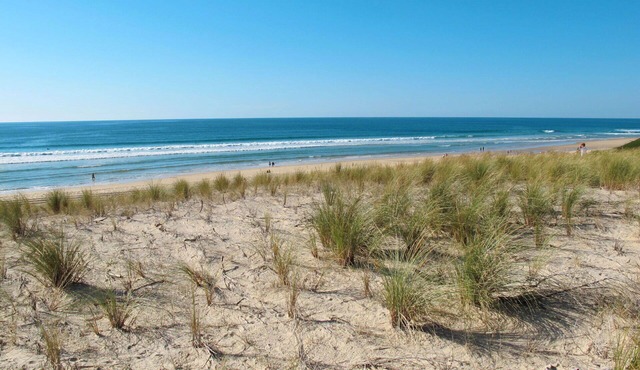 Nice apartment for 6 people with pool, WIFI, TV, terrace and pets allowed