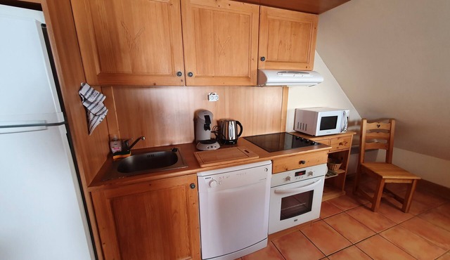 Nice apartment in the mountains