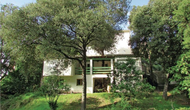 Nice Apartment In Sagone With Kitchen