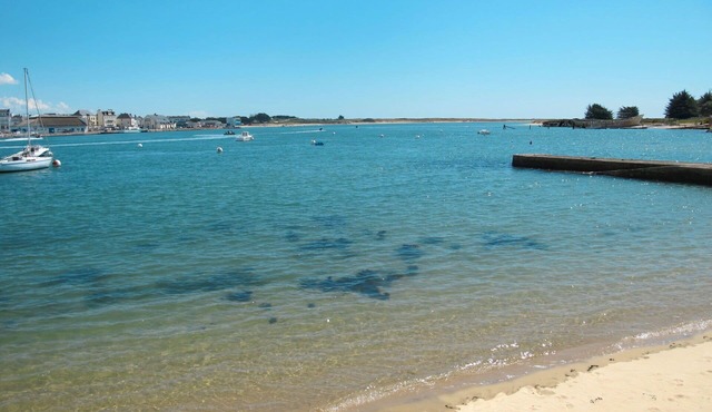 Nice apartment in villa for 4 guests with WIFI, TV, terrace and pets allowed