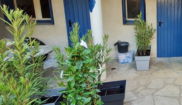 Nice apartment on the ground floor of a village house