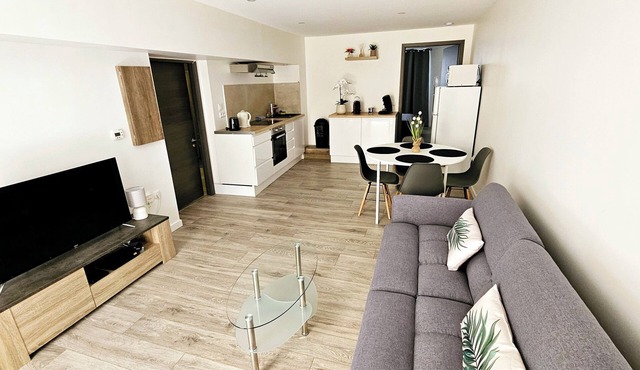 Nice apartment T2 50m² quiet, PMR access, near downtown