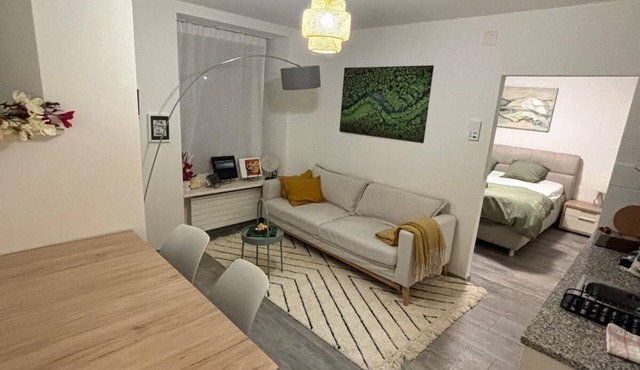 Nice apartment with WiFi&Self Check-In in Center of Zürich