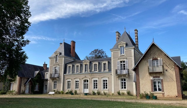 Nice castle with swimming pool, 27 people, between Loire castles and Burgundy