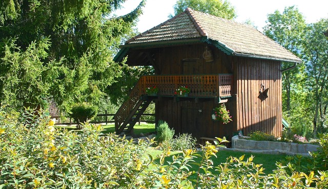 Nice chalet on the heights of Annecy