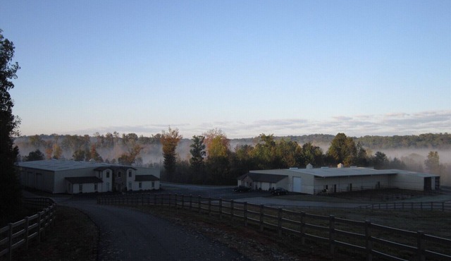 Nice Economic family friendly apartment on horse ranch