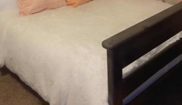 Nice Forest park’s home 2 Bdrms & 2 bathrooms and take loads of pics