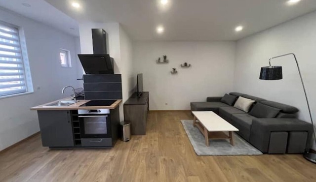 Nice furnished studio renovated