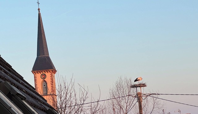 Nice gite near Baden-Baden and Strasbourg